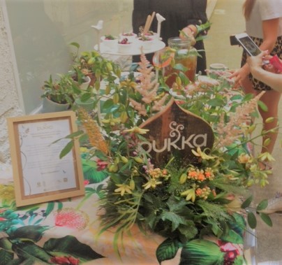 soirée blogueuses instagram pukka mihira ayurveda gwenaelle batard conference