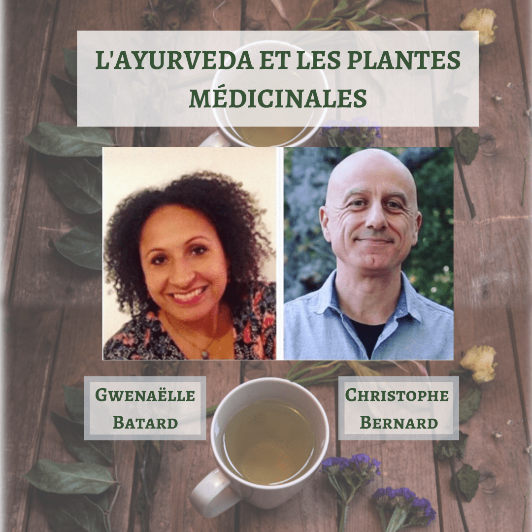 ayurveda et plantes médicinales gwenaelle batard christophe bernard althea provence interview video